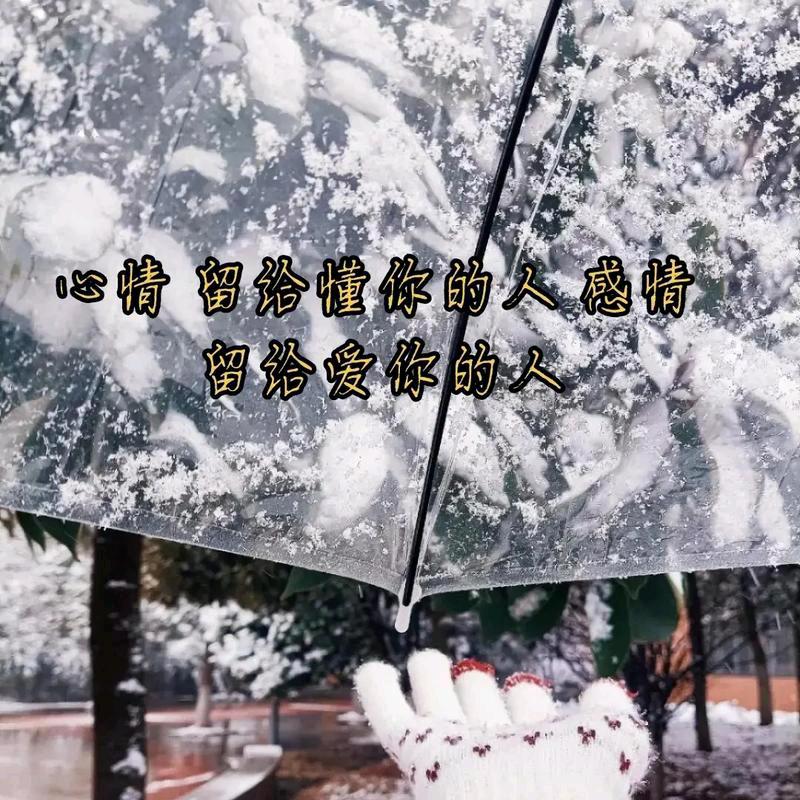 @韦你而来