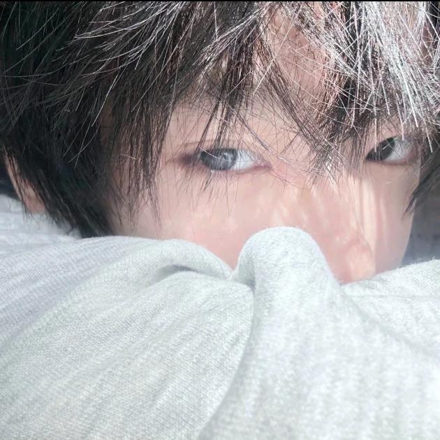 帆帆