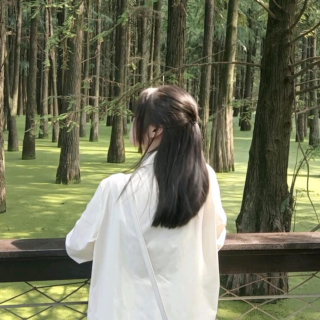 叶酒