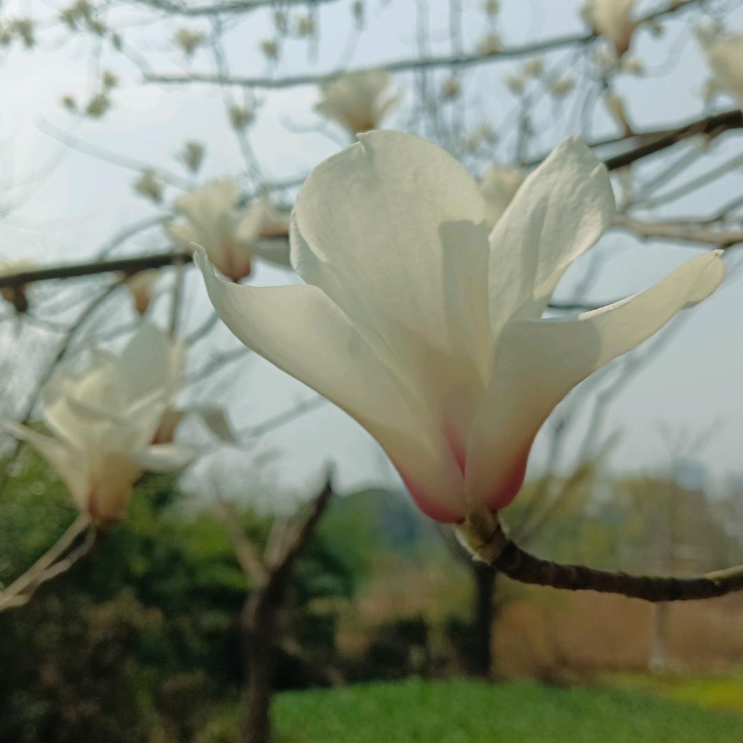欣兴分享