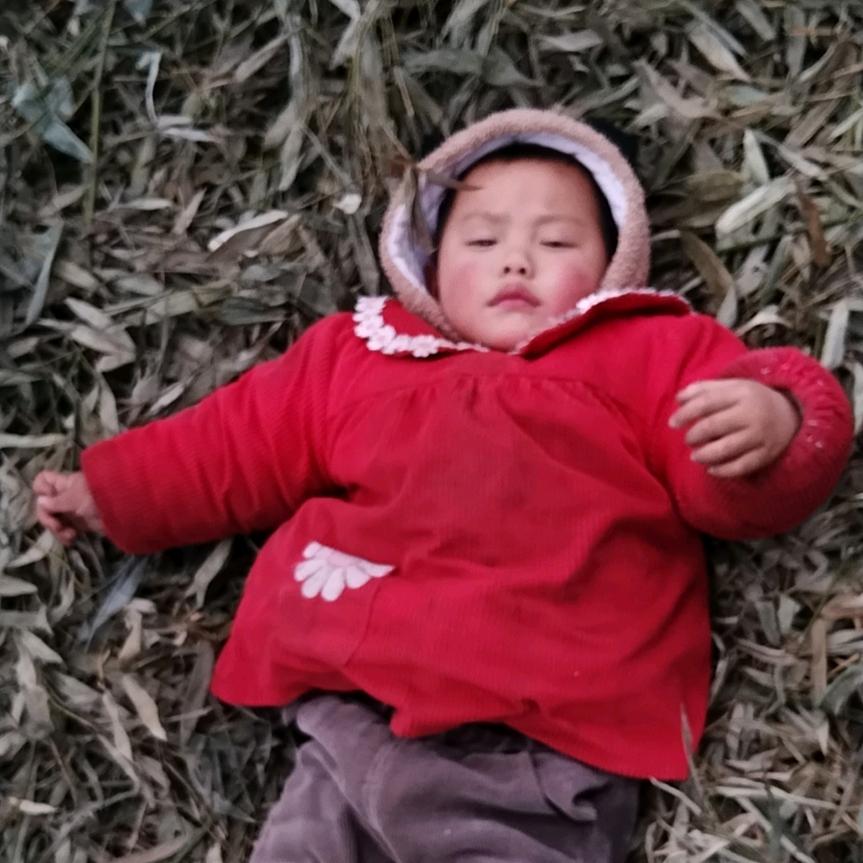 我的未来不是梦