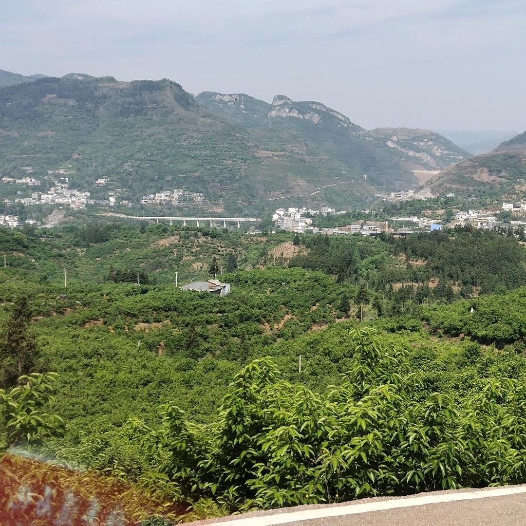 我就是我