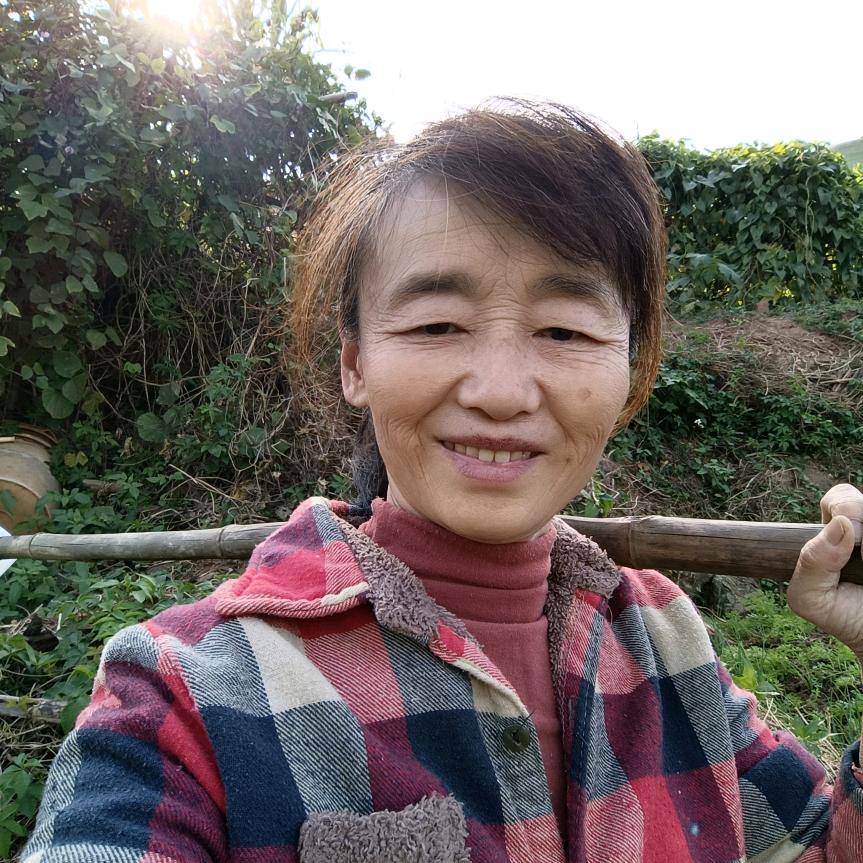 陶陶姐