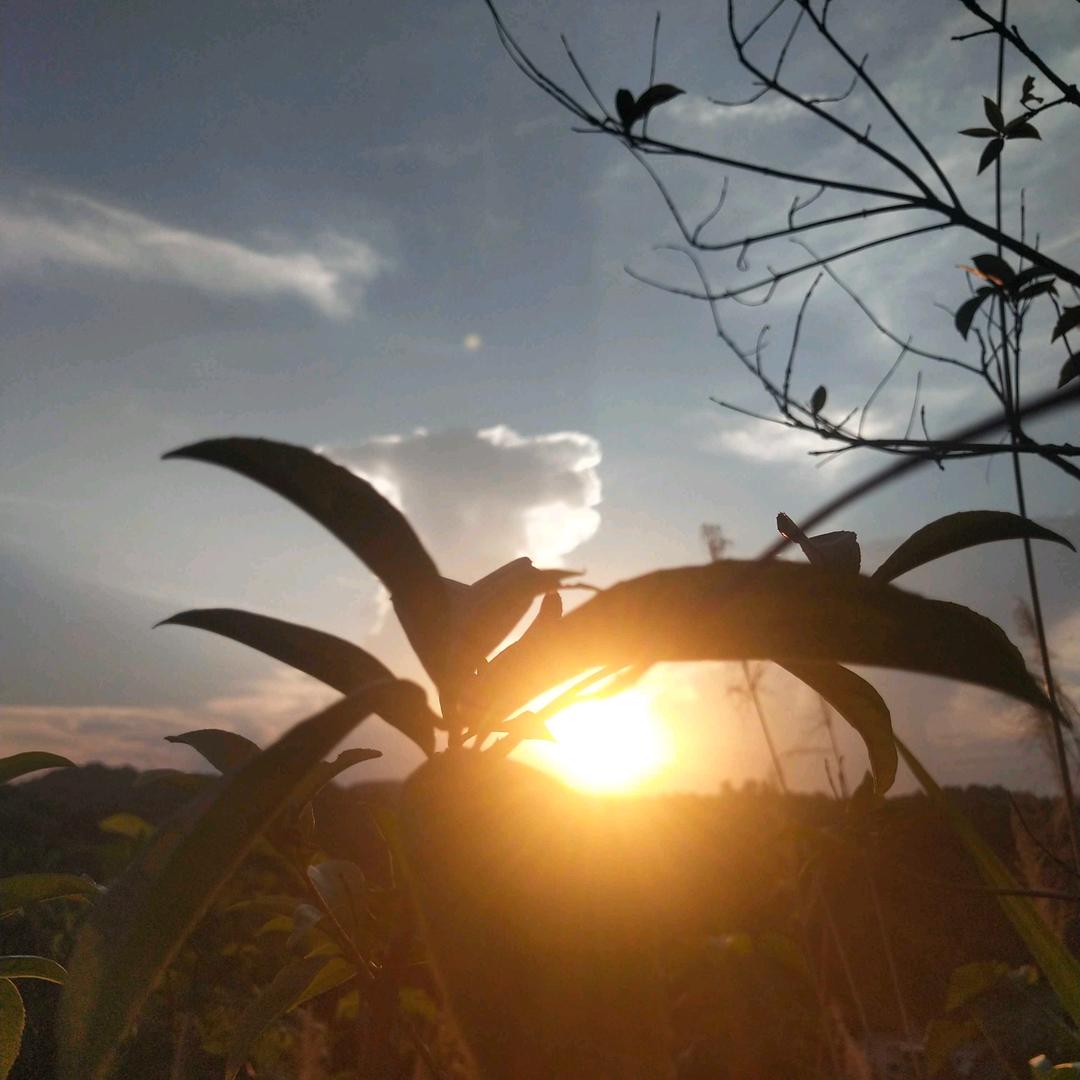 🌈不装饰你的梦