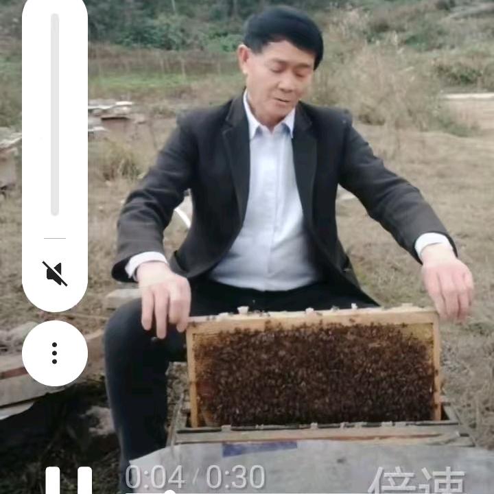 养蜂人