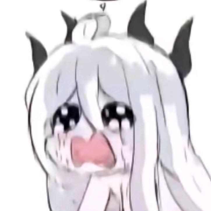 喆喆猫