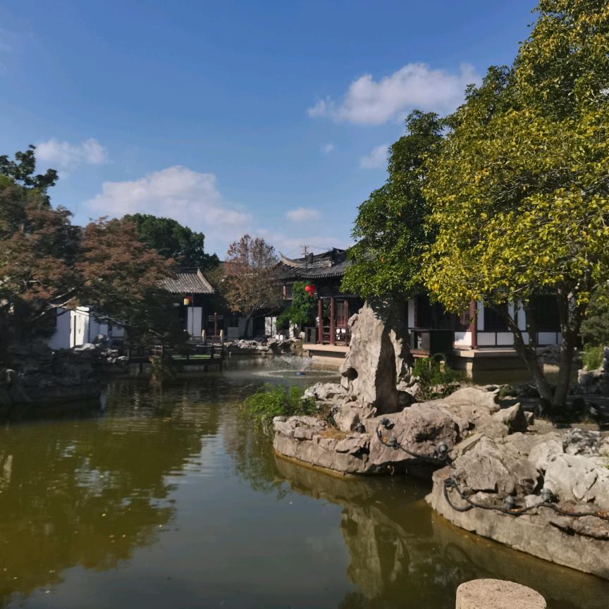 迎风飞翔
