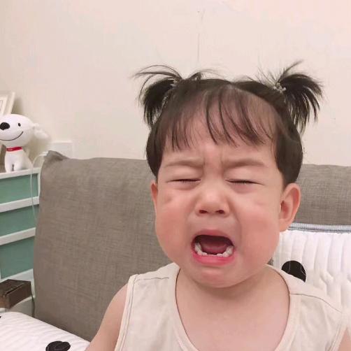 小朱z