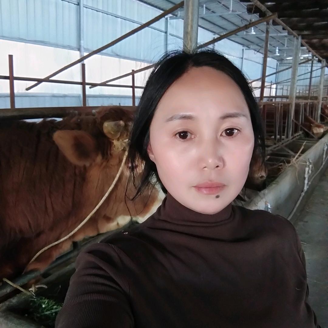 湘嫂vlog