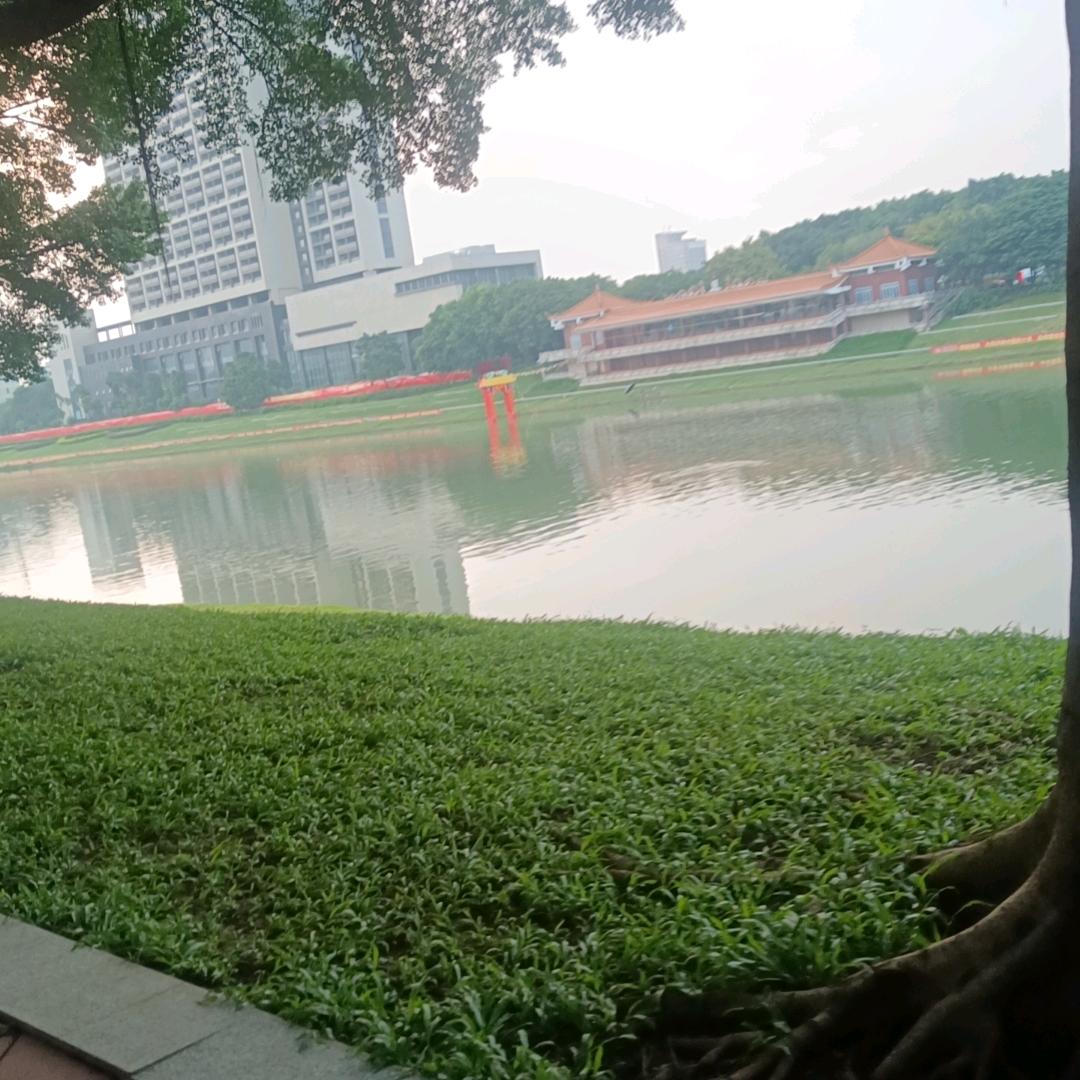 闲云,银狐