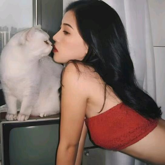 高冷的小美