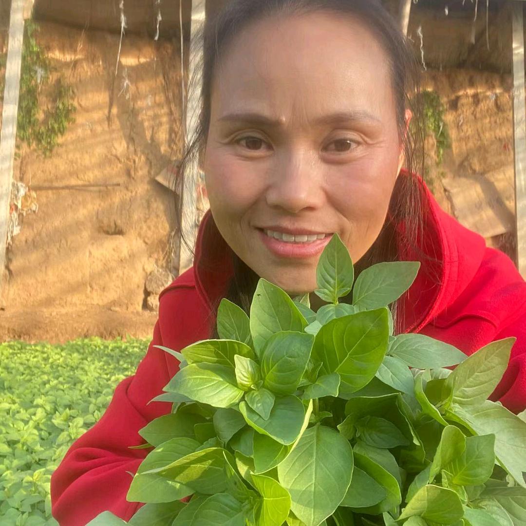 张玲爱生活