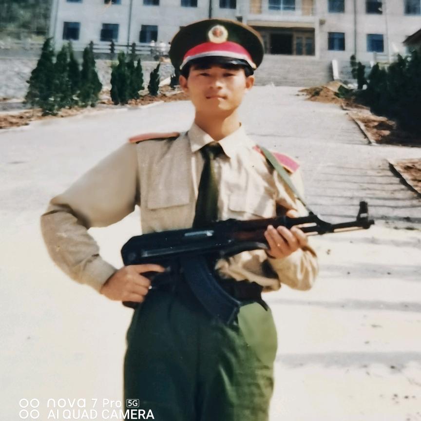 铩羽