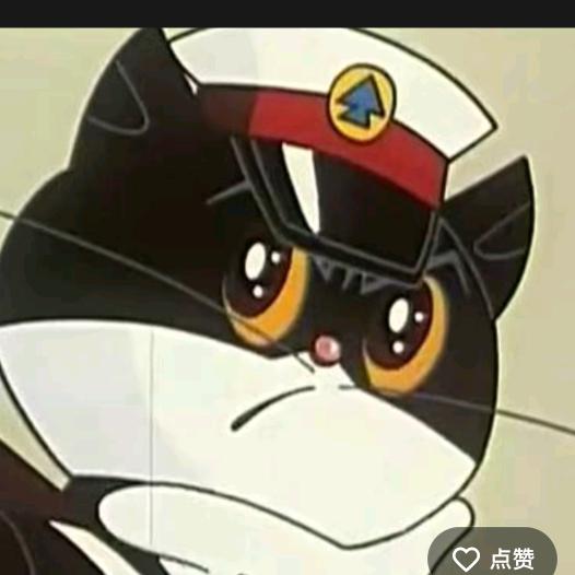 黑猫✊