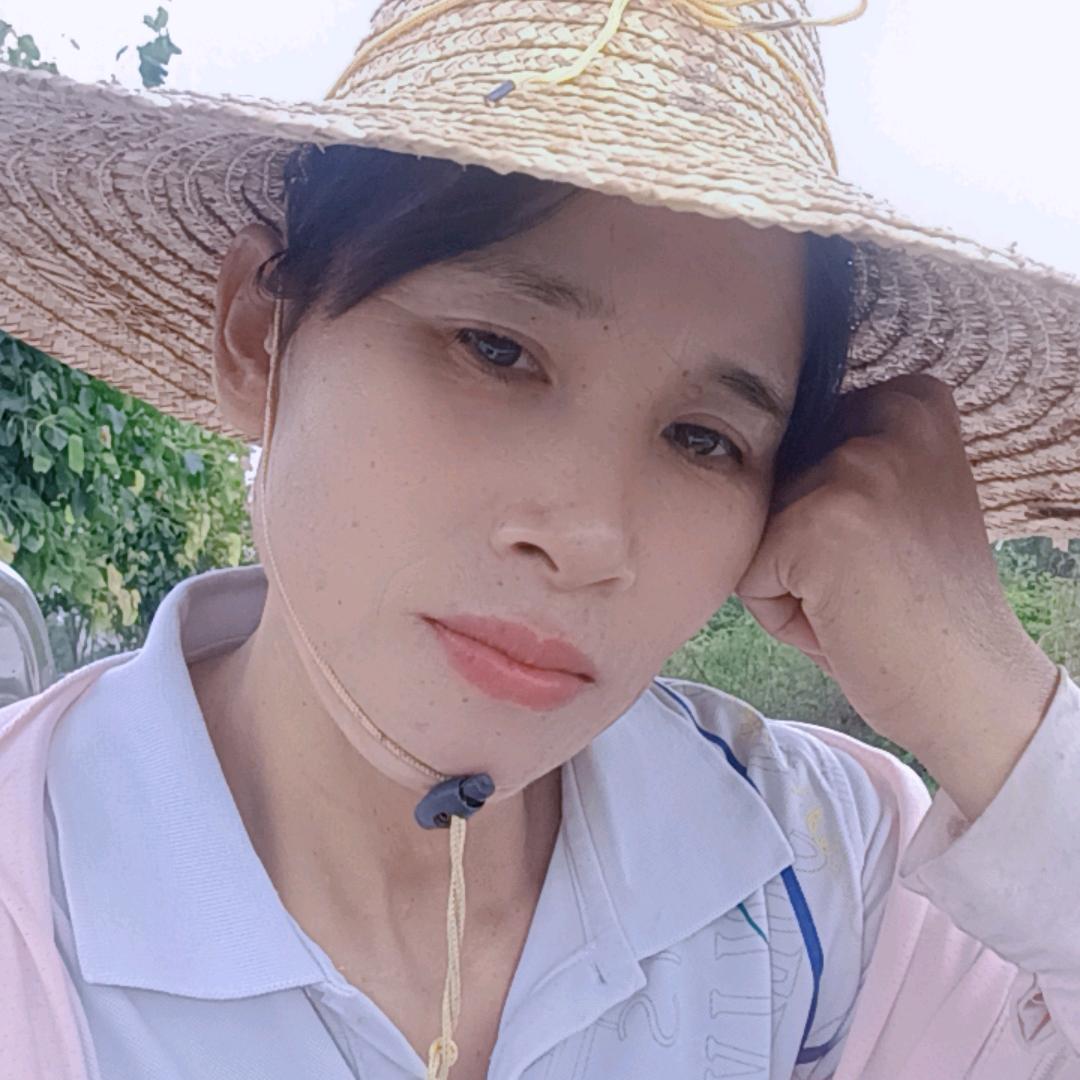 凤