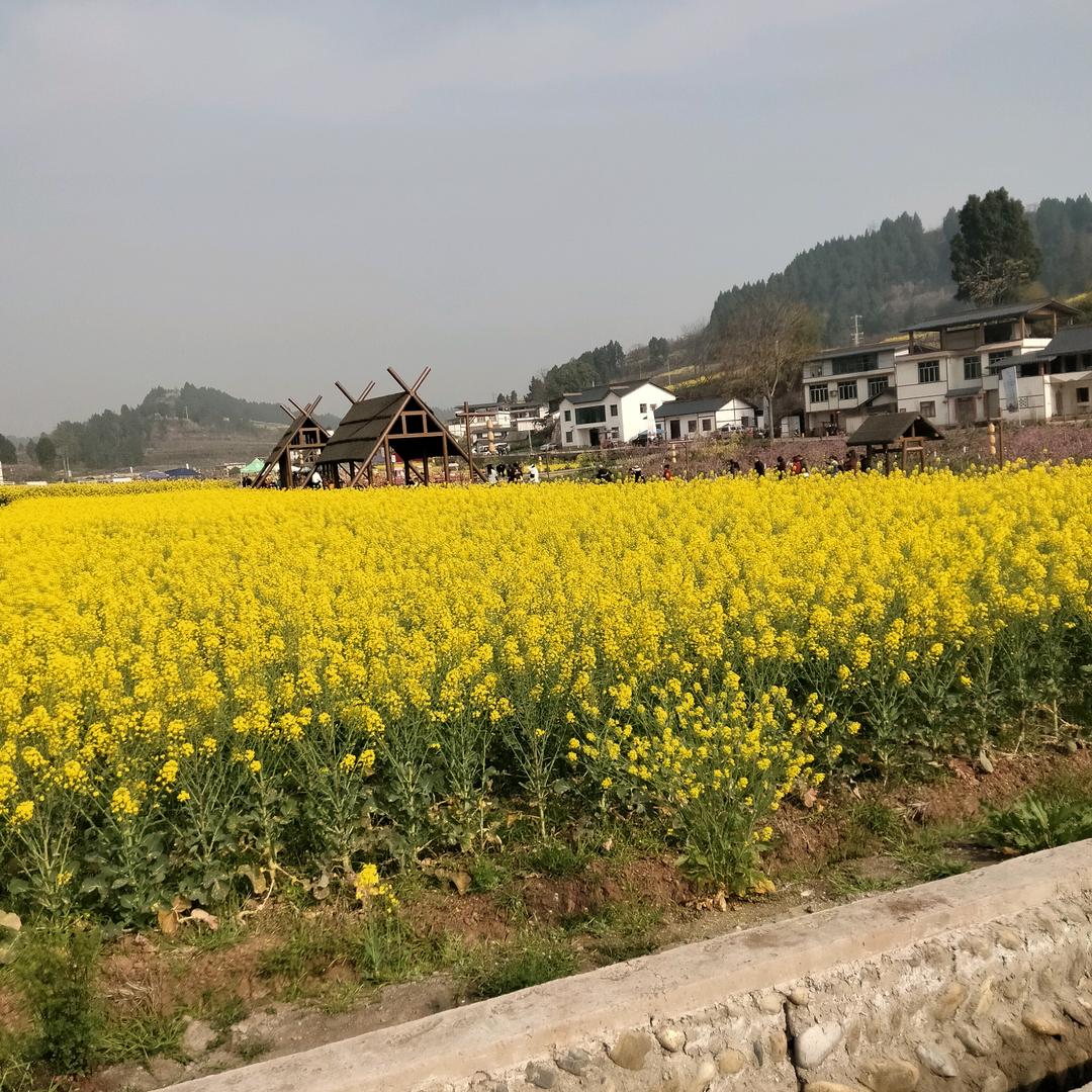 单身的七零后大姐