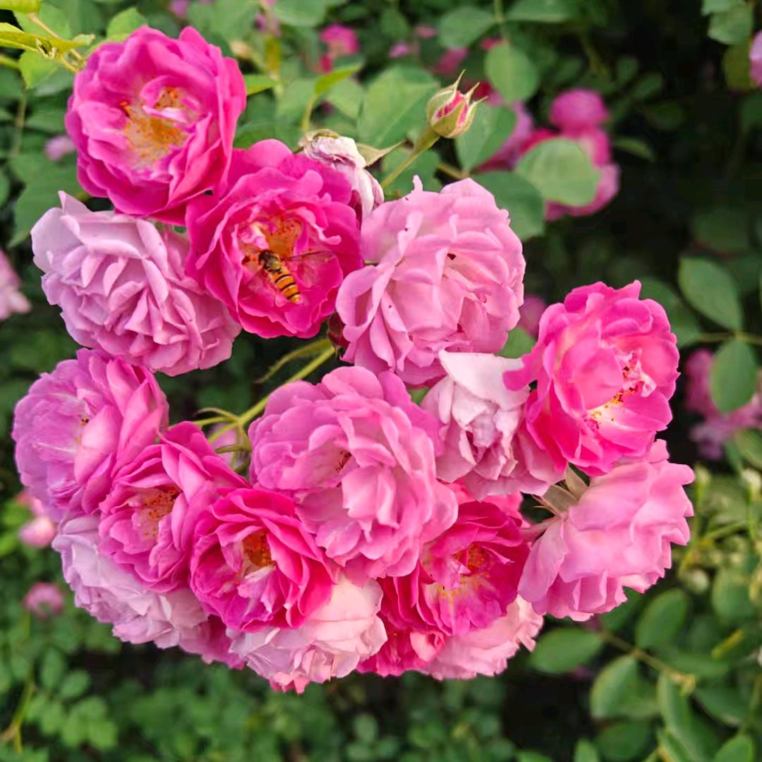 এ᭄往后余生ོꦿ࿐