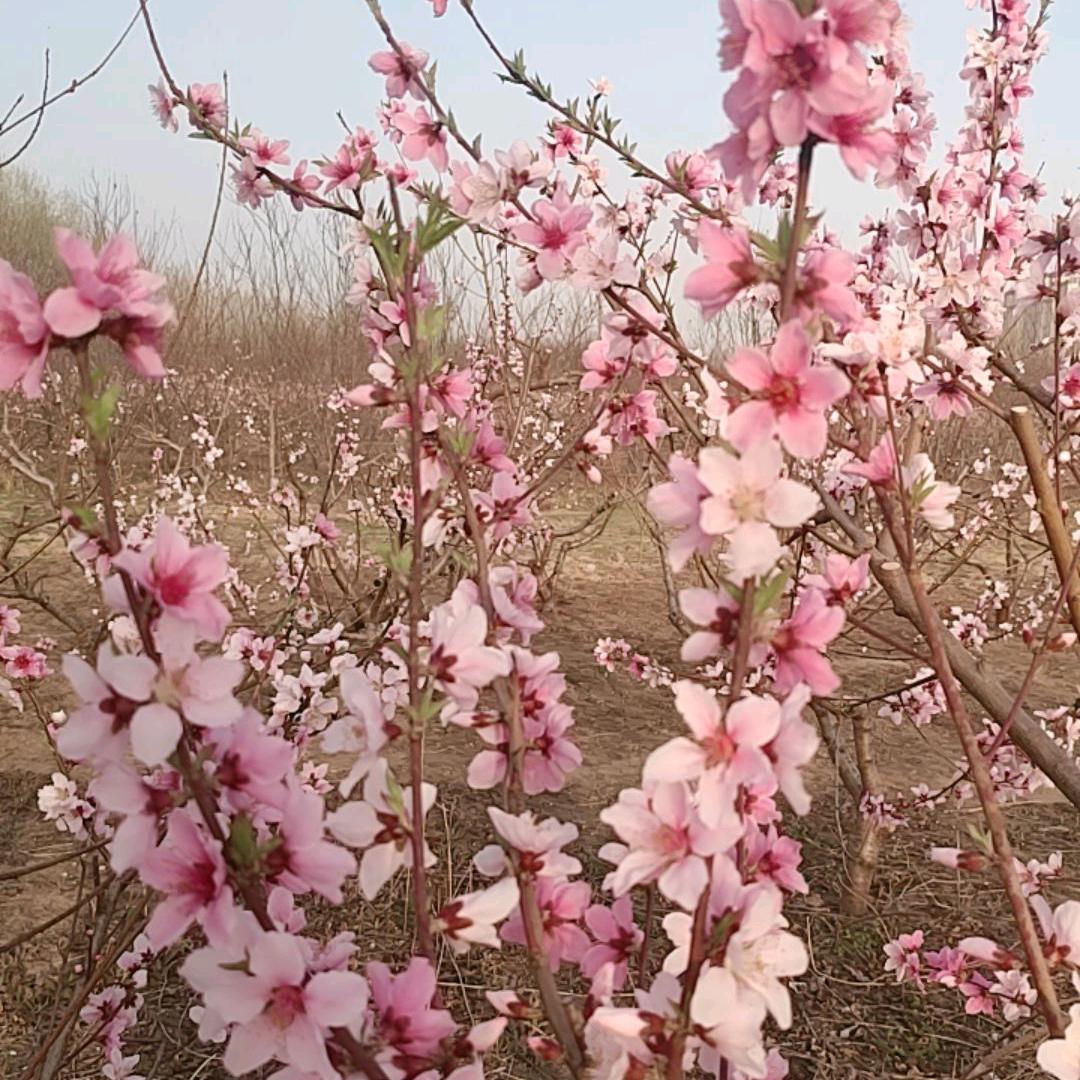 修心