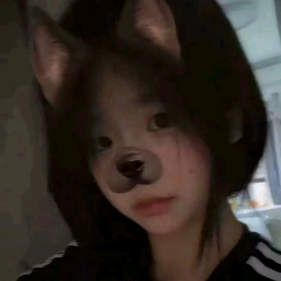 失眠小猫
