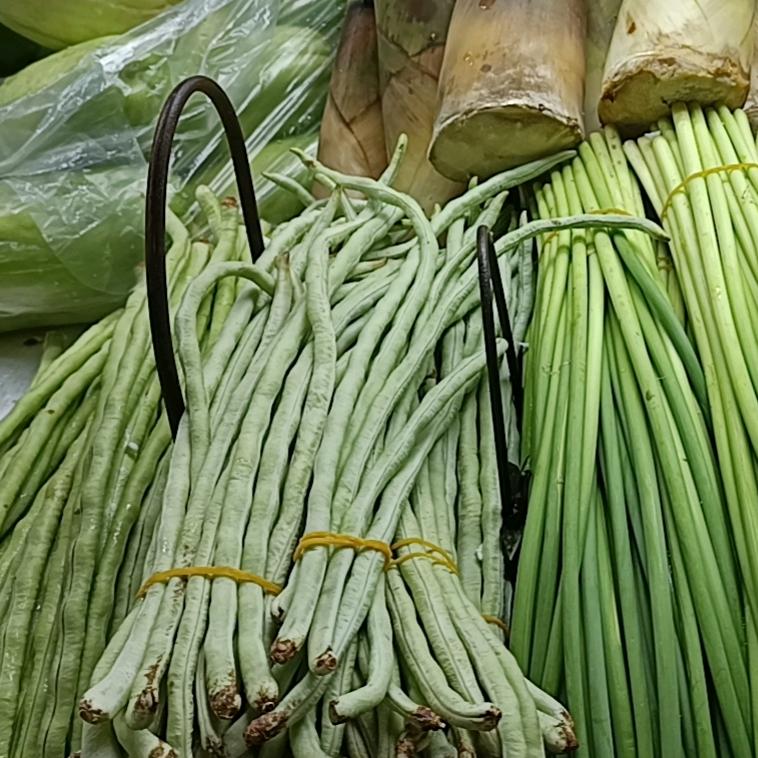 迪迦奥特曼11111