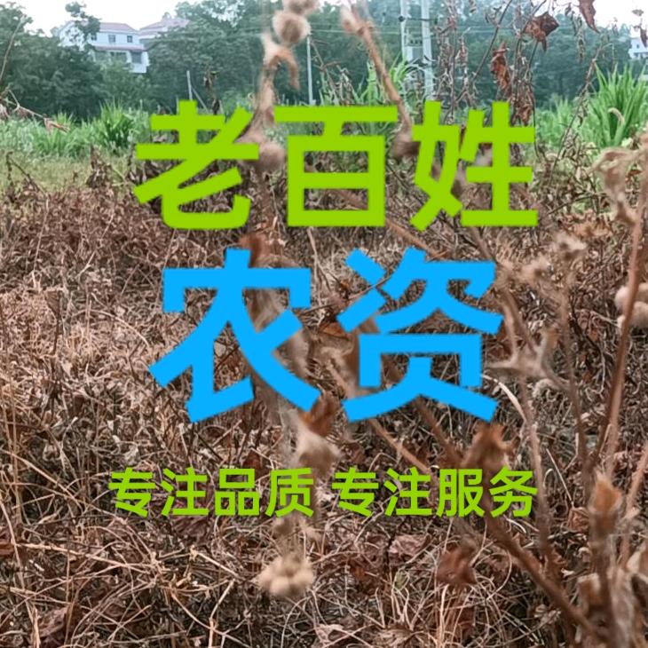 老百姓农资