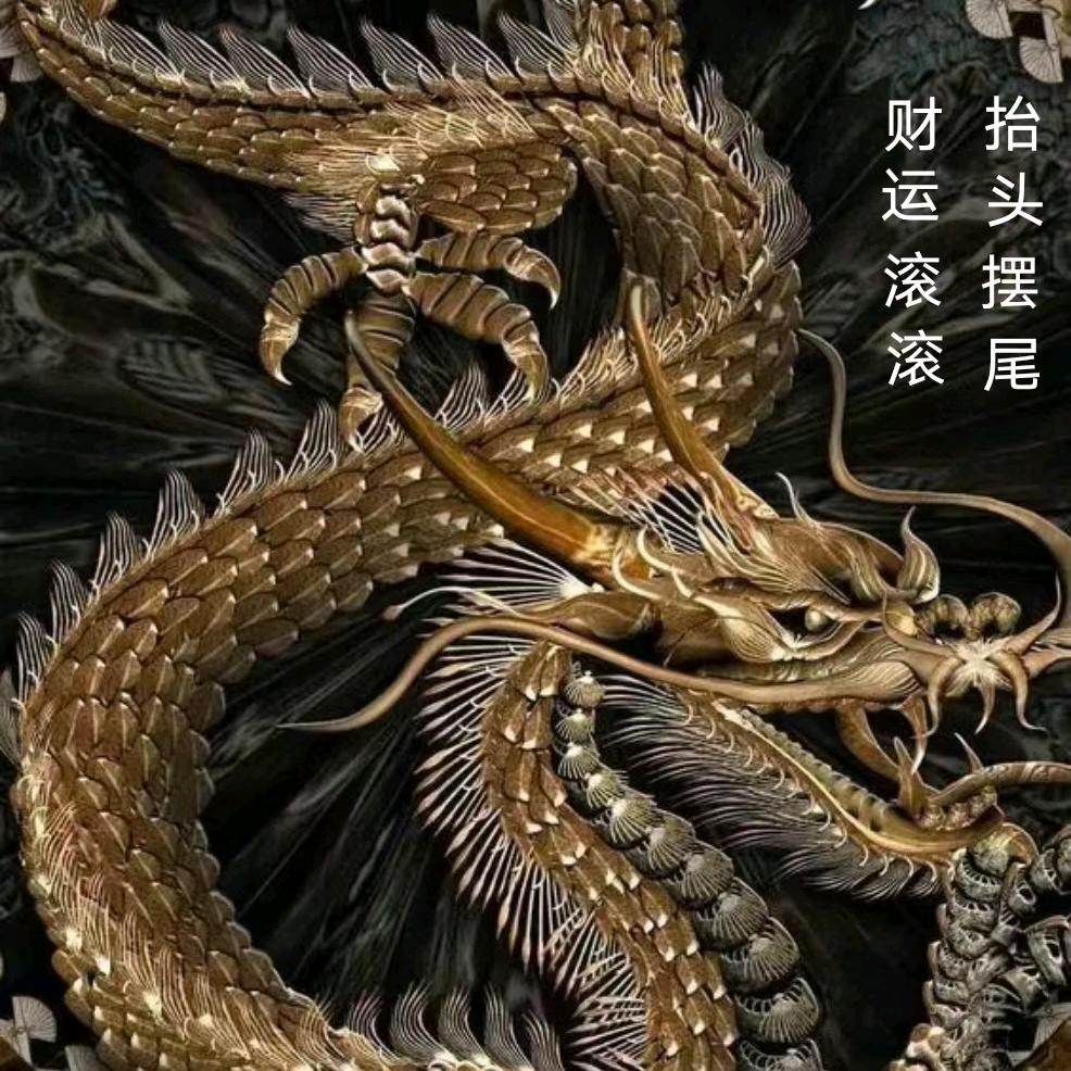 孤风踏浪