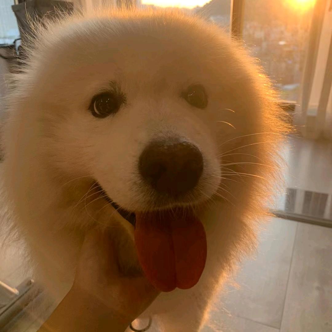 ღ