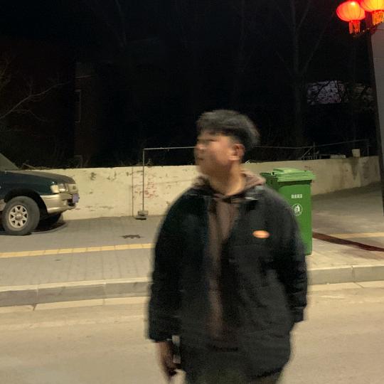 不死鸟.