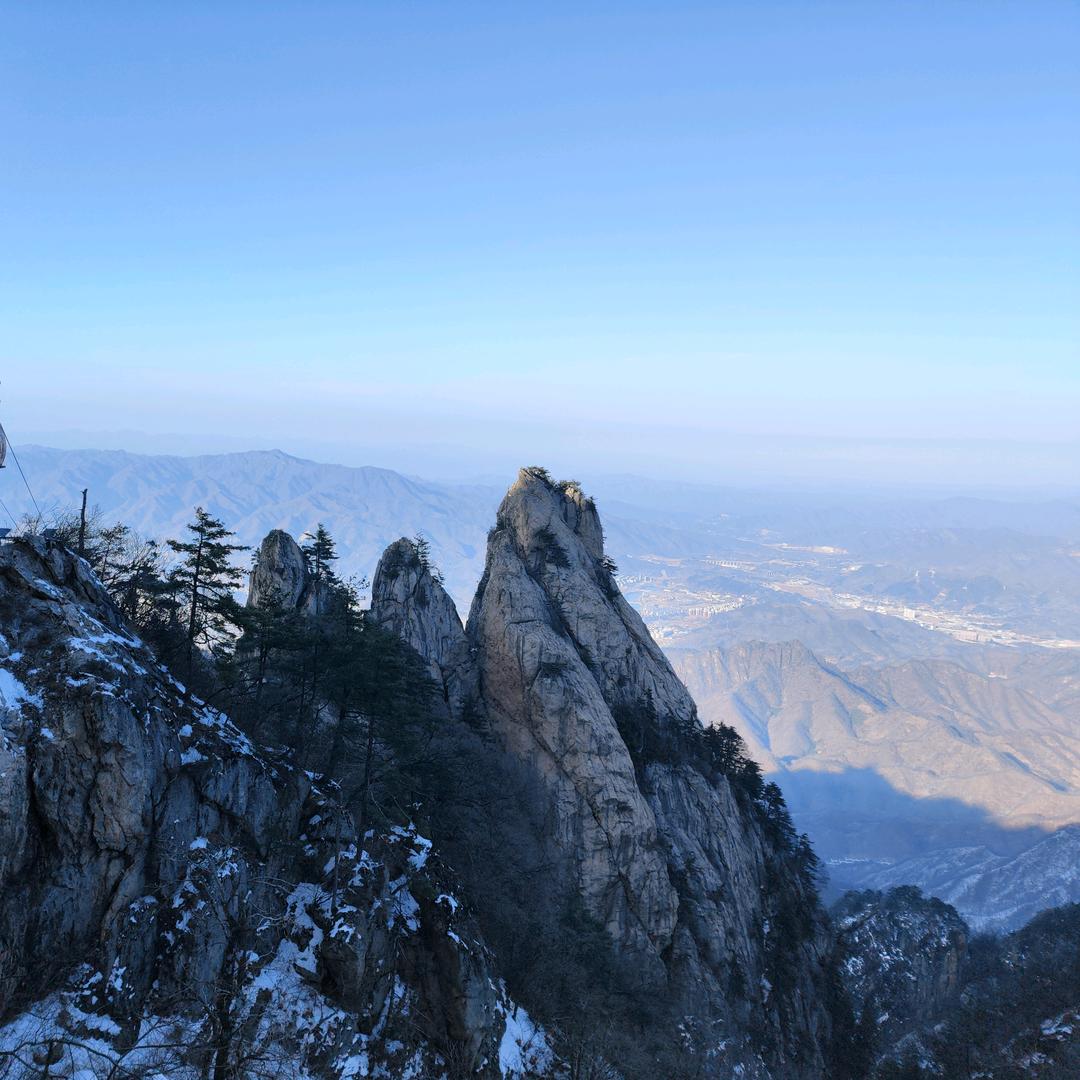 YZUniversity冤大头