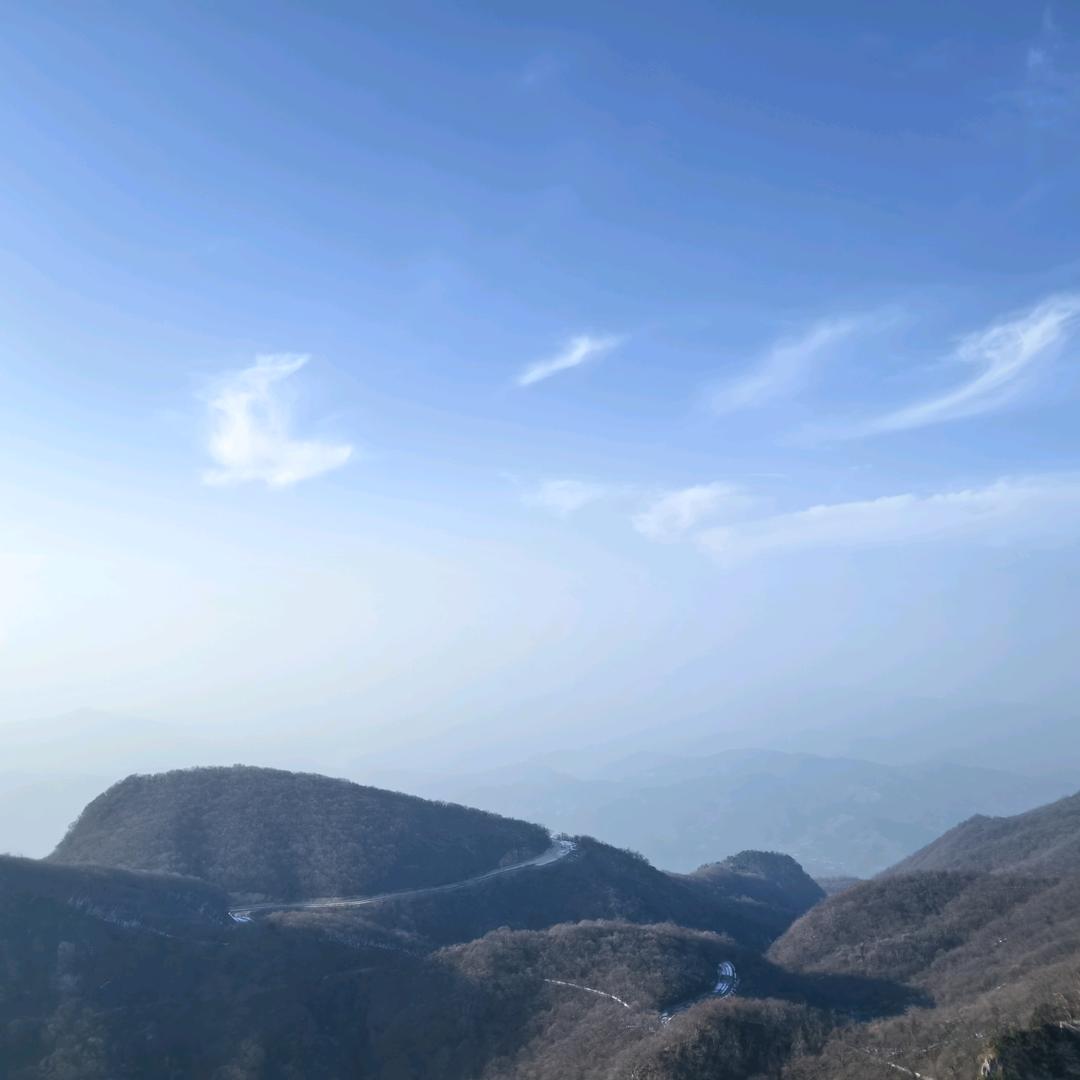 巫金