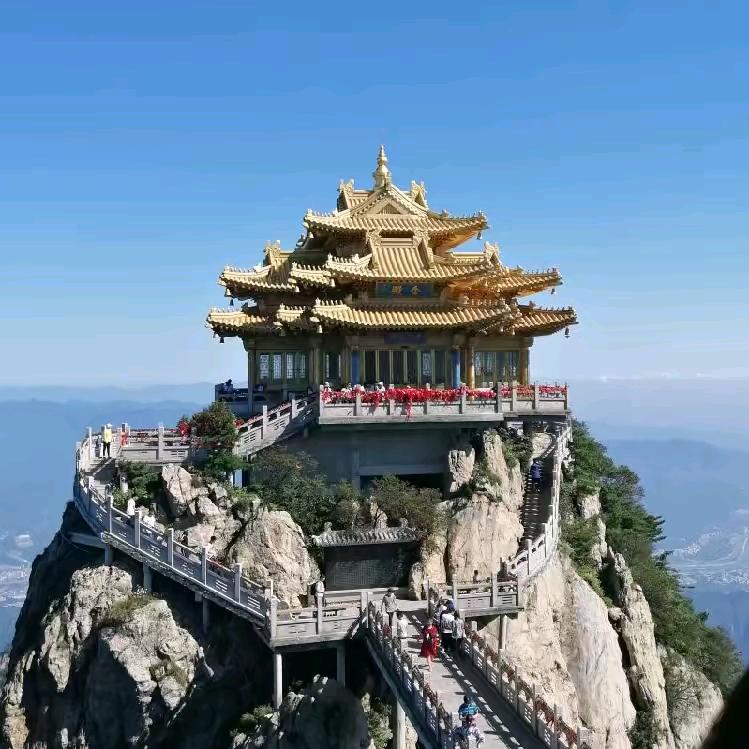 金明说农资