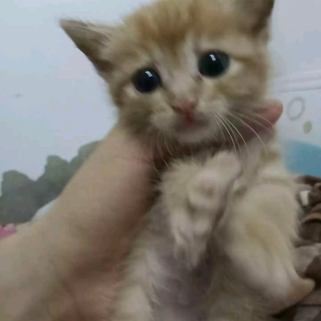 过往人生