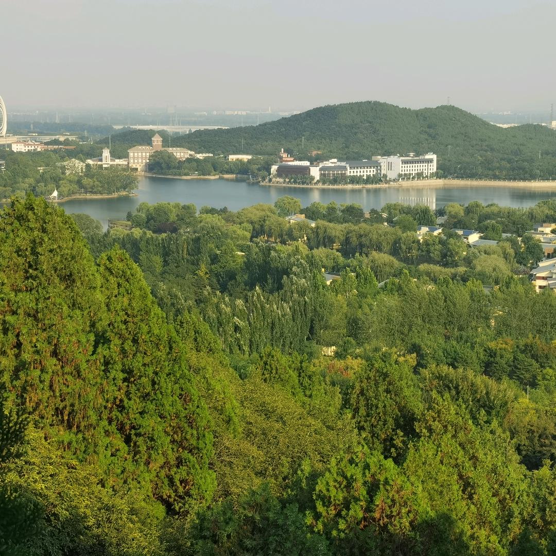 骏马在青青草原上