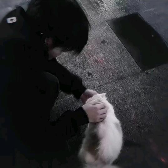 泪痕雨