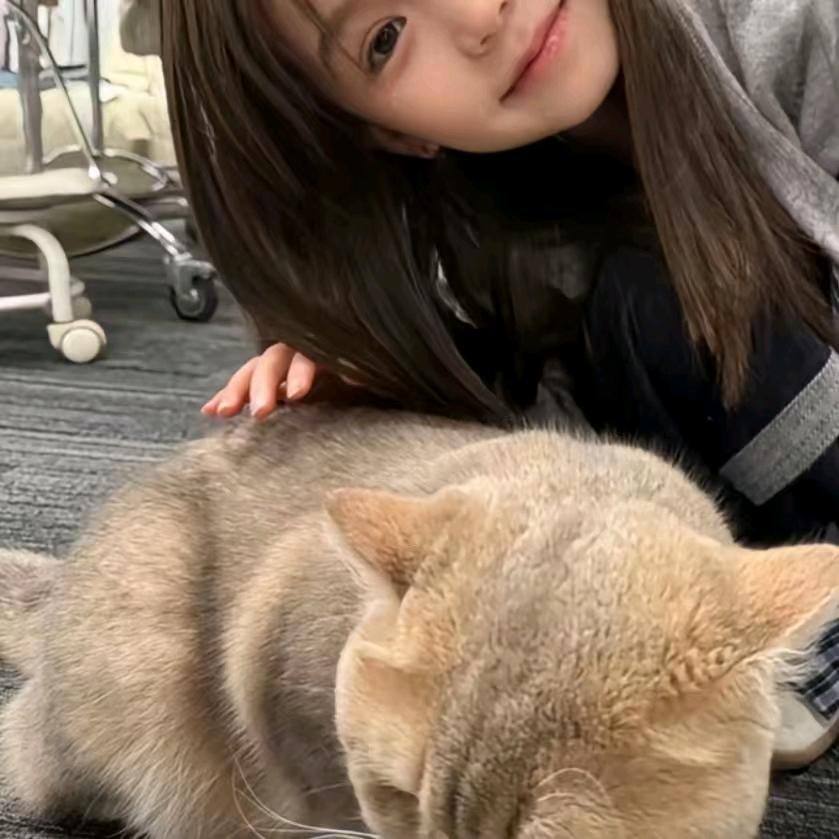 慕冷