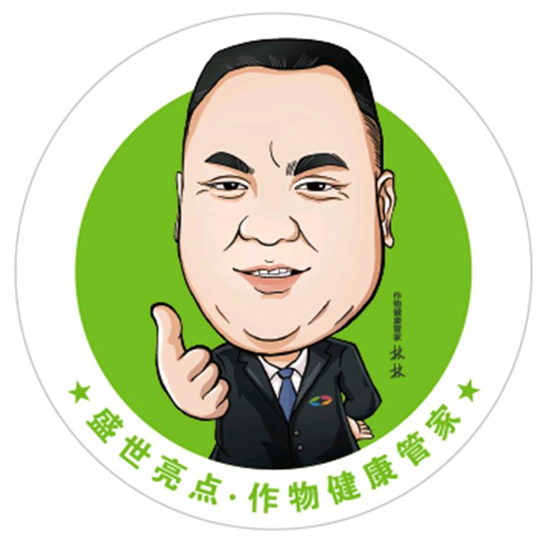 盛世亮点