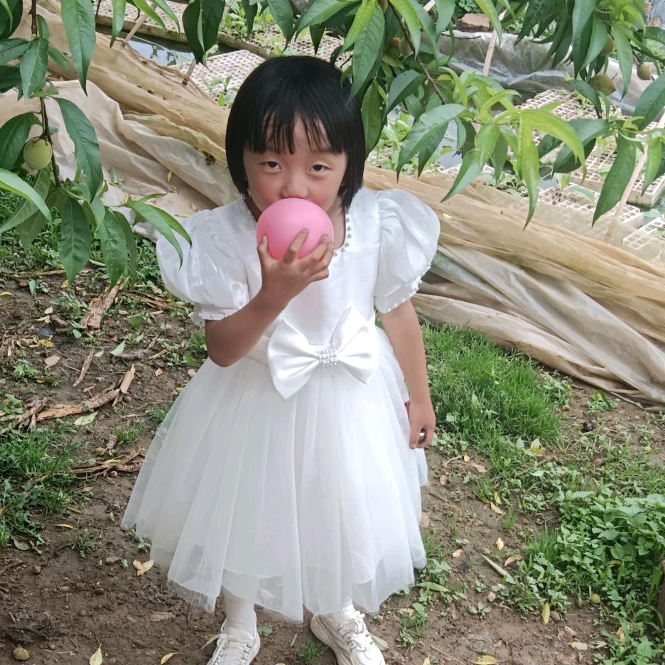 李：一只小锦李