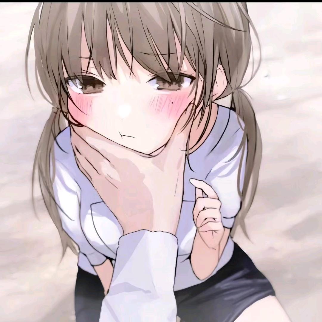 你是笨蛋