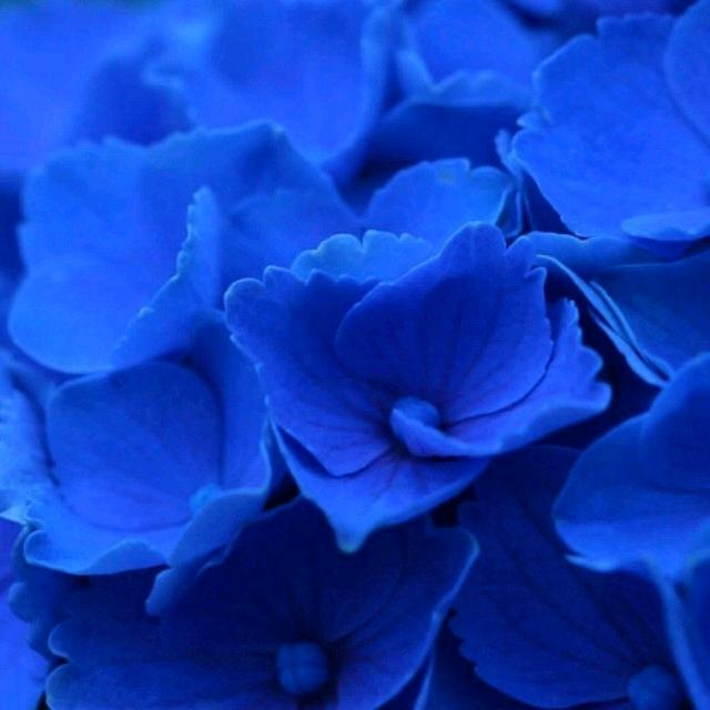 💞㜂❤️孞💞