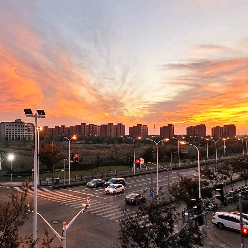 佘北小陈探魔都