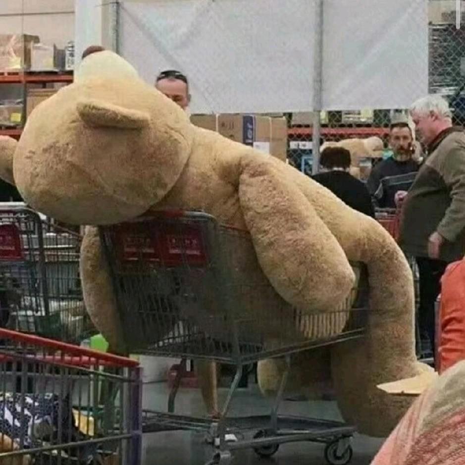 备忘录里的爱你