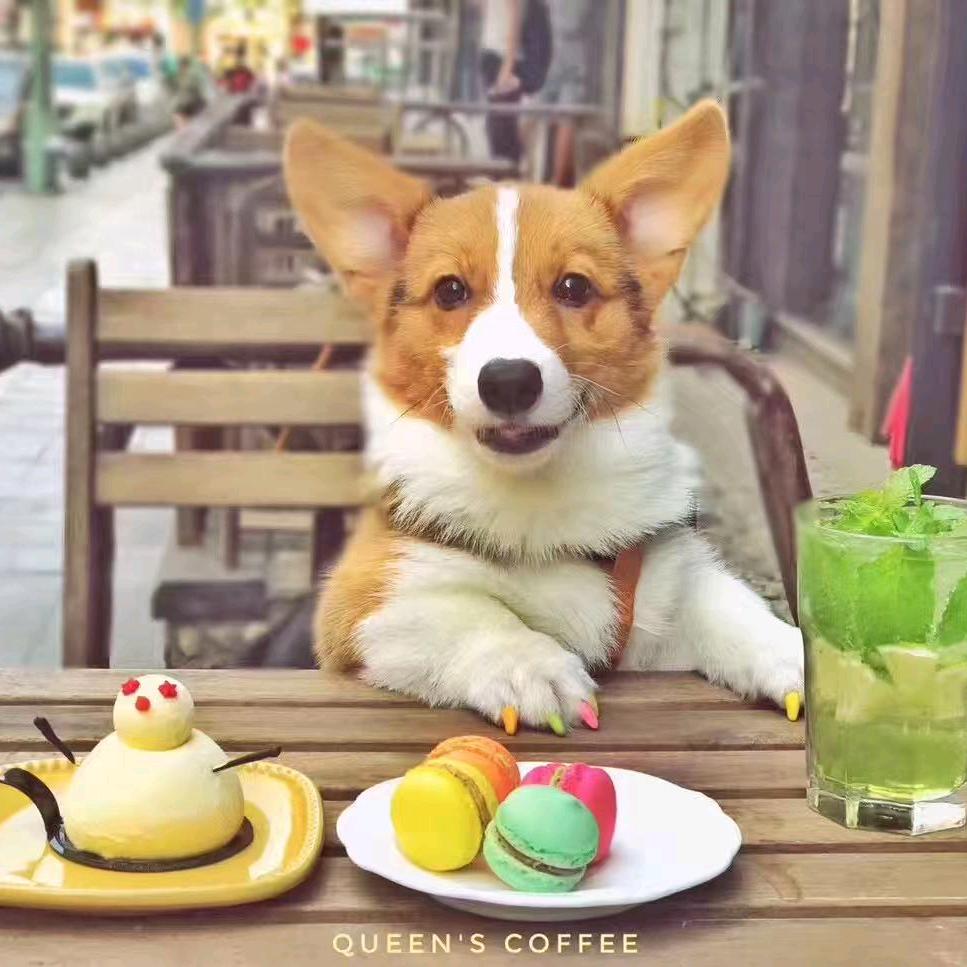 珈铭他家家居店