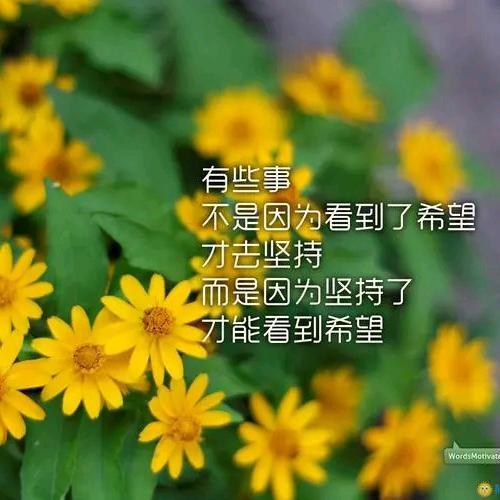 ღ相遇