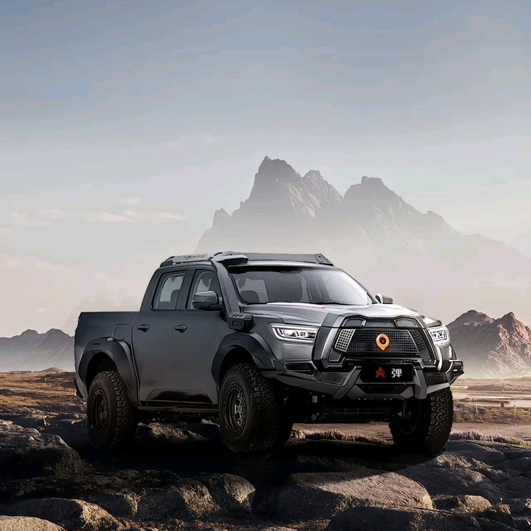 A峰少-越野皮卡改装