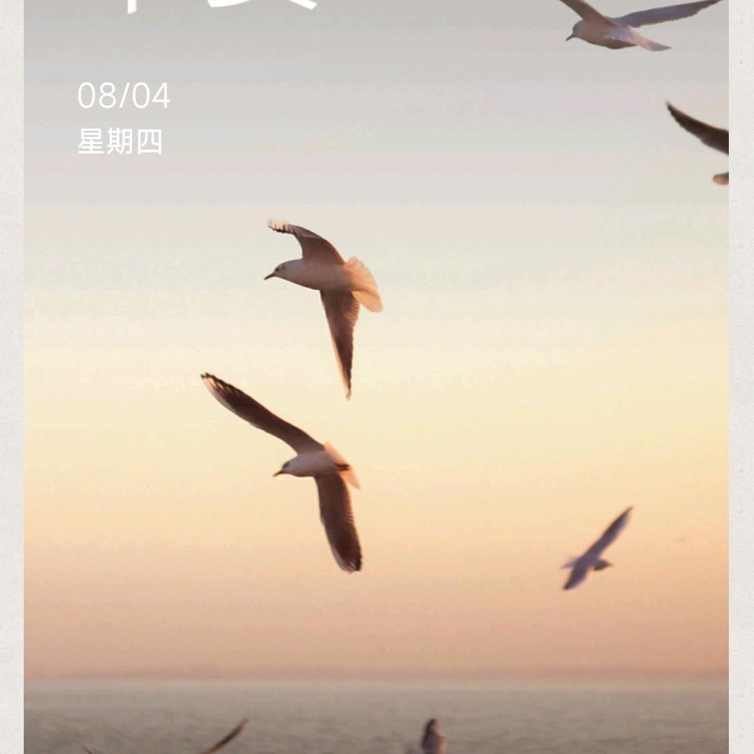 中向生物（菌种源头厂家）微生物研发应用