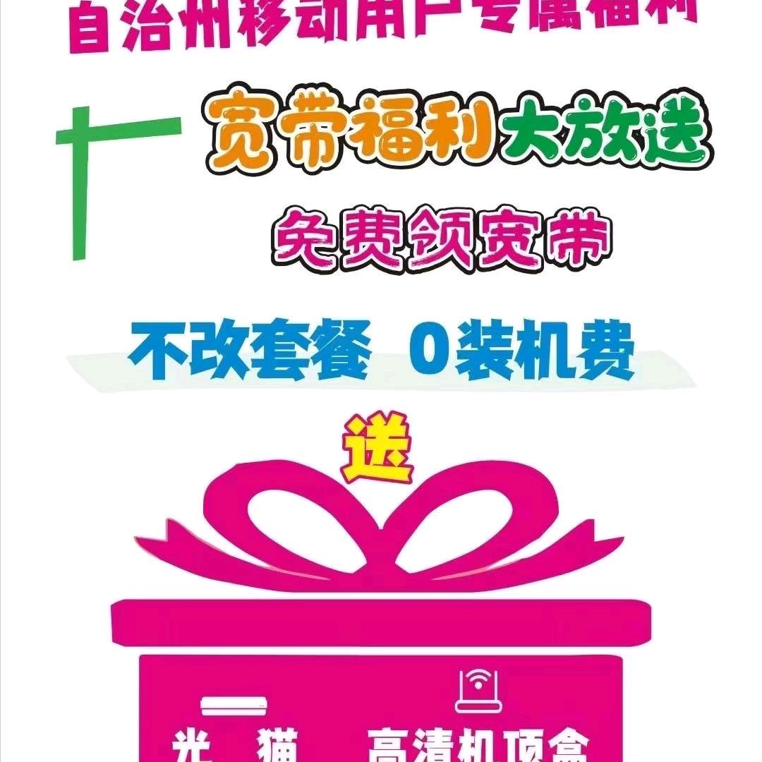 农贸市场正对面丽宝商场入口手机店批发维修