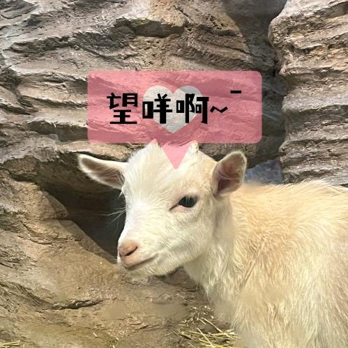 环球之旅X玩转广东