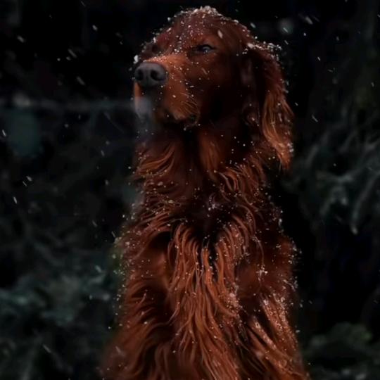 一枚硬币游世界