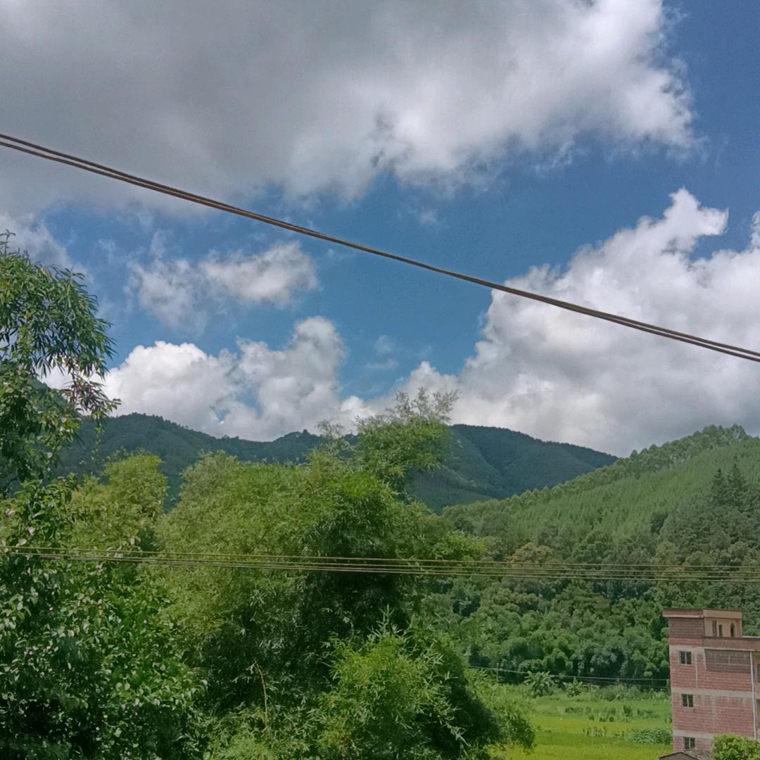 随风，