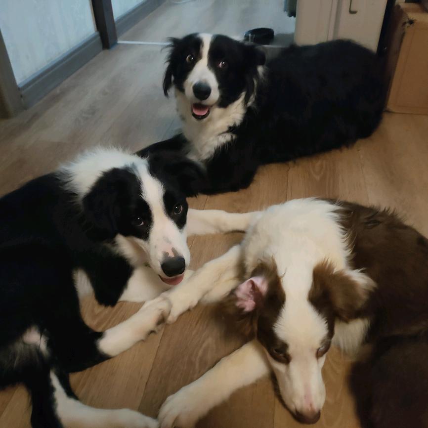 帮助他人快乐自己。